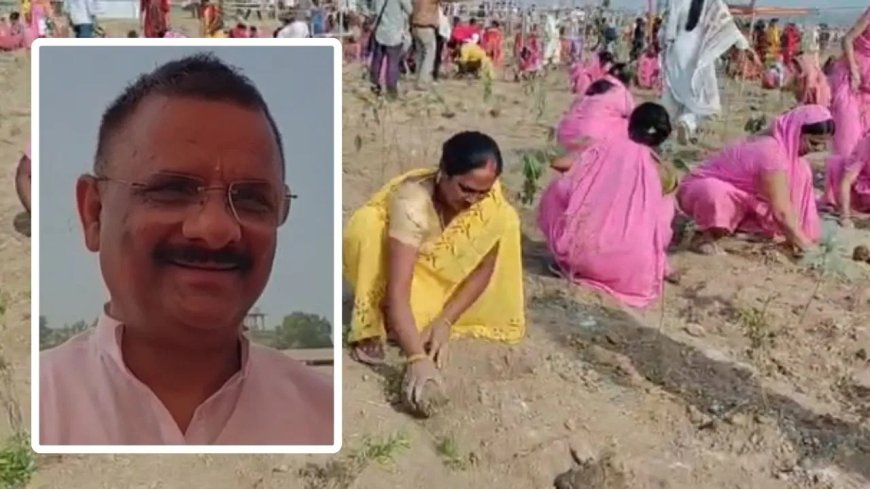 वाराणसी ने बनाया नया कीर्तिमान… 20000 हाथों ने आधे घंटे में रोपे 3 लाख पौधे, गिनीज में दर्ज हुआ नाम