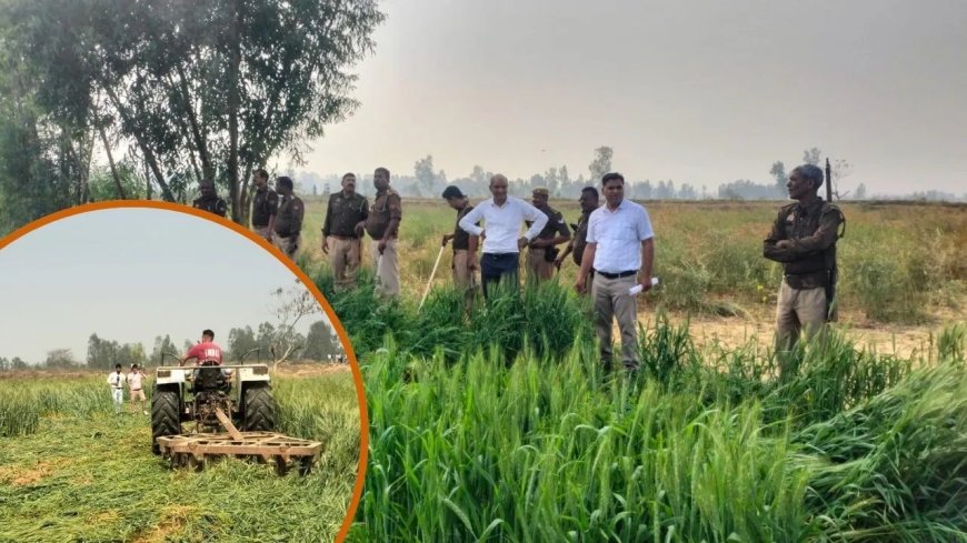 संभल में अवैध कब्जों पर बड़ी कार्रवाई, 2 करोड़ की 39 बीघा सरकारी जमीन कराई गई मुक्त