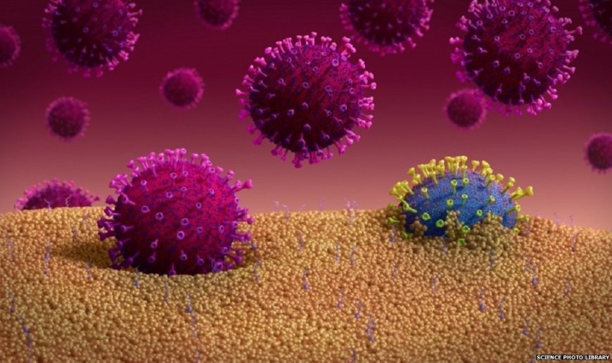 क्या अमेरिका गुपचुप बना रहा बायोवेपन? कोविड वैक्सीन डेवलपर वैज्ञानिक ने खोले चौंकाने वाले राज