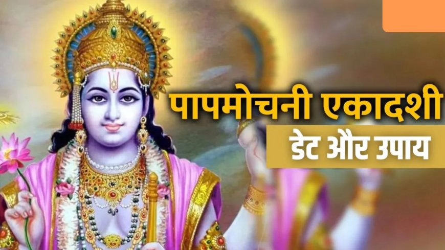 15 मार्च को रखा जाएगा पापमोचिनी एकादशी व्रत, इन उपायों से दूर होंगी जीवन की परेशानियां