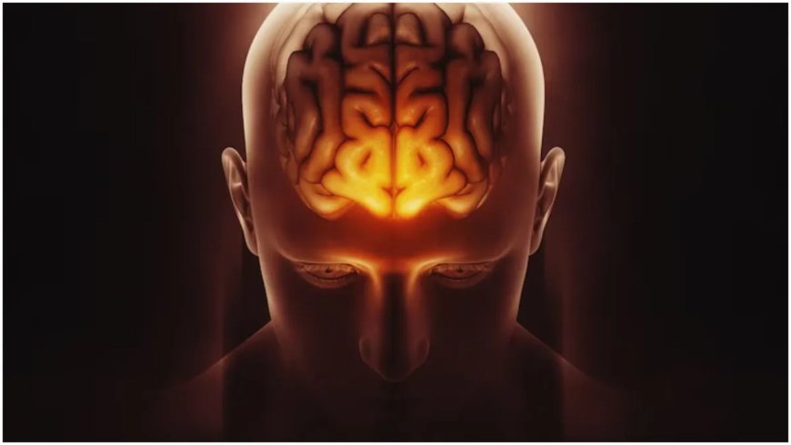 उल्टे हाथ से काम करने की आदत बना सकती है दिमाग को तेज, एक्सपर्ट्स ने बताए फायदे