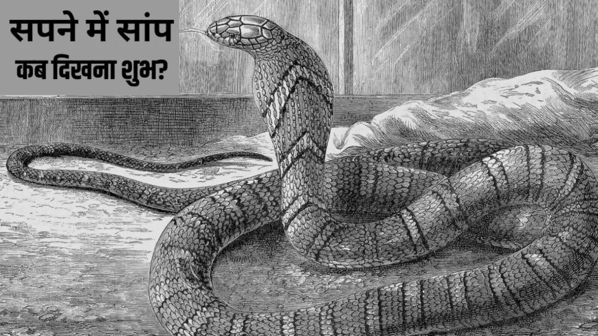 सपने में सांप दिखना क्या देता है संकेत? स्वप्न शास्त्र के अनुसार जानिए शुभ अर्थ