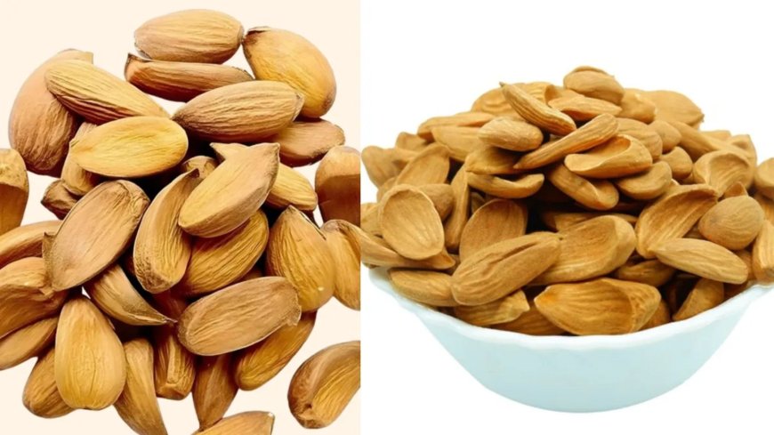 मामरा बादाम को कहा जाता है ‘बादाम का राजा’, कीमत भी ज्यादा और पोषण भी भरपूर