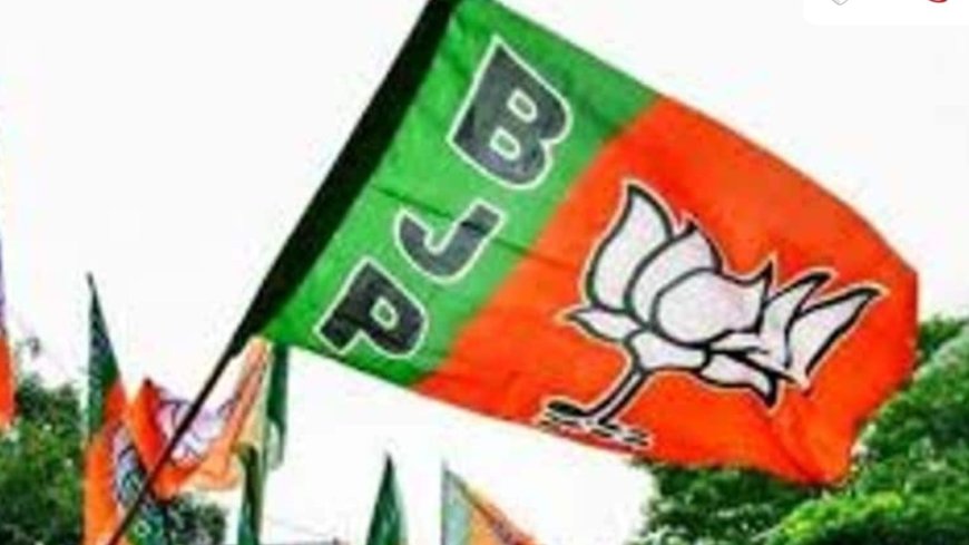 भाजपा की संस्तुति पर 2802 पार्षद नामित, नगर निगम में 10 और पालिका परिषद में 5-5 सदस्य नियुक्त