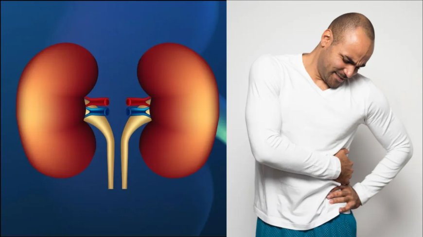 किडनी को साफ रखने के आसान उपाय, जानें कौन-सी चीजें करेंगी नेचुरल डिटॉक्स