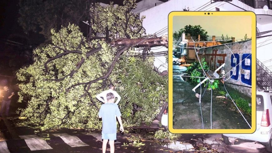 गौतम बुद्ध नगर में तूफान का तांडव… 150 पोल टूटे, 25 ट्रांसफॉर्मर ठप, अंधेरे में डूबे 16 गांव