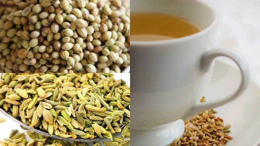 सौंफ-धनिया का पानी है सेहत का खजाना: पाचन से वजन घटाने तक देगा फायदा, जानें सही सेवन तरीका