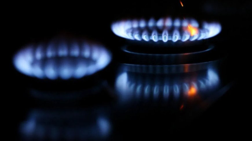 PNG कनेक्शन अनिवार्य, नहीं लेने पर 3 महीने में बंद होगी LPG सप्लाई