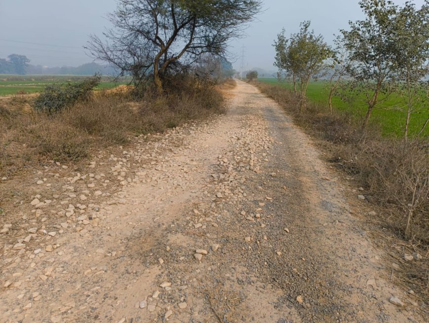 कोरारी-रामगढ़ मार्ग की बदहाल सड़क से लोग परेशान, दुर्घटना का बढ़ा खतरा
