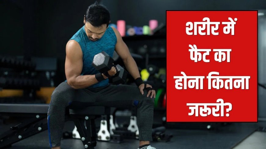 जीरो फैट बॉडी का खतरा! जानिए क्यों शरीर के लिए जरूरी है सही मात्रा में फैट