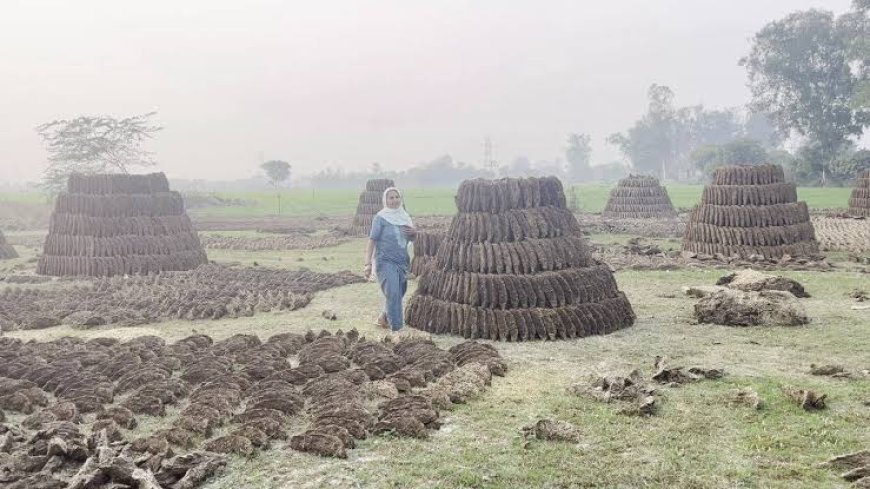 गांवों में साफ-सफाई के साथ बढ़ी लाखों की आय, गोबरधन योजना ने बदल दी तस्वीर