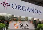 Sun Pharma का बड़ा दांव: 12 बिलियन डॉलर में Organon को खरीदने की तैयारी