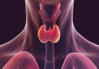 थाइराइड के बढ़ते मामलों ने बढ़ाई चिंता, सही डाइट और लाइफस्टाइल से मिल सकता है कंट्रोल
