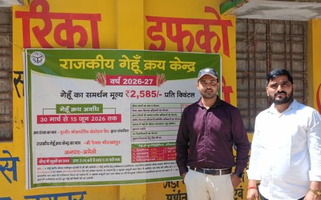 गेहूं खरीद 2026 शुरू अमेठी के गोरखापुर केंद्र पर 500 एमटी लक्ष्य, किसानों का रजिस्ट्रेशन तेज