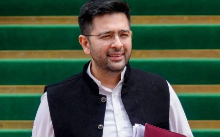 खामोश करवाया गया हूं, हारा नहीं… पद से हटते ही राघव चड्ढा का बड़ा बयान, AAP में मचा सियासी तूफान