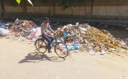 स्मार्ट सिटी नोएडा बना गंदगी का ढेर… 157 कूड़ा गाड़ियां नहीं चलीं, ना ही उठा लाखों घरों का कचरा