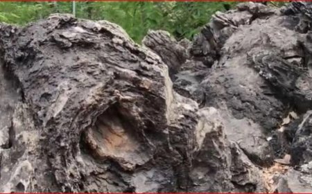 UP का ये अनोखा स्थान बनेगा ग्लोबल टूरिस्ट हॉटस्पॉट… यहां पत्थरों में छुपा 160 करोड़ साल पुराना रहस्य, 40 देशों के वैज्ञानिक भी हैरान