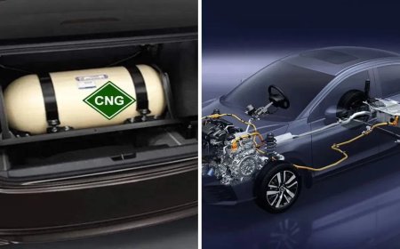 बढ़ती तेल कीमतों के बीच CNG vs Hybrid कार: कौन है ज्यादा फायदेमंद विकल्प?