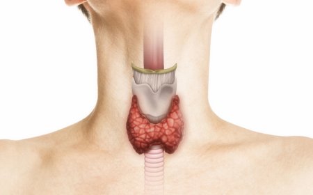 लखनऊ के SGPGI में रोबोटिक एंडोक्राइन सर्जरी की बड़ी उपलब्धि, 200 सफल ऑपरेशन पूरे