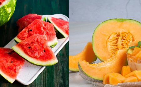 वजन घटाने के लिए तरबूज या खरबूजा? जानिए कौन सा फल है ज्यादा फायदेमंद