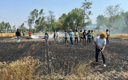 अमेठी में शॉर्ट सर्किट से लगी भीषण आग, कई किसानों की गेहूं की फसल जलकर राख