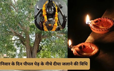 शनिवार के ये खास उपाय बदल सकते हैं आपकी किस्मत, शनि दोष से मिलेगी राहत