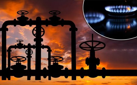 दिल्ली-NCR में PNG कनेक्शन का तेजी से विस्तार, LPG पर निर्भरता घटाने की तैयारी