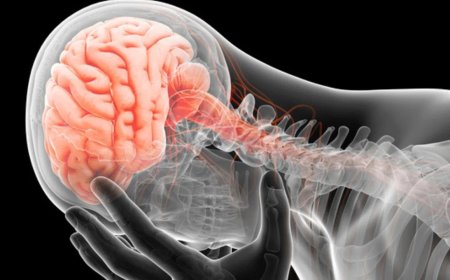 सर्वाइकल दर्द से सिर दर्द तक: क्या गर्दन की समस्या दिमाग को भी पहुंचाती है नुकसान?