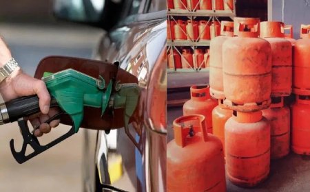 देश में LPG-तेल को लेकर बड़ी अपडेट! सरकार बोली- स्टॉक भरपूर, सप्लाई पूरी तरह सामान्य