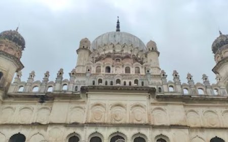 अयोध्या में दिखा ऑस्ट्रेलिया का अनोखा ‘इमू’, बहू बेगम मकबरे में बना आकर्षण का केंद्र