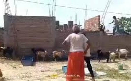 पीठीपुर में मामूली बात पर बवाल, बकरी के पानी पीने को लेकर हुआ खूनी संघर्ष