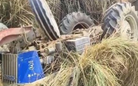 कौशांबी में सड़क हादसा, ट्रैक्टर की टक्कर से चपरासी की मौत