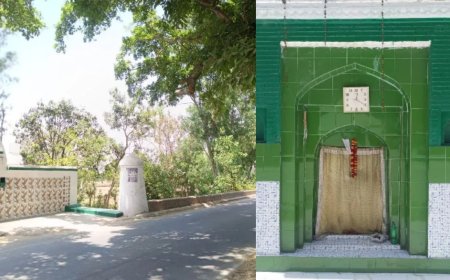 तोते ने ली खूनी गवाही… बादशाह को बताया हर कातिल का नाम, जानिए तोता-मैना मजार का वो अनसुना राज