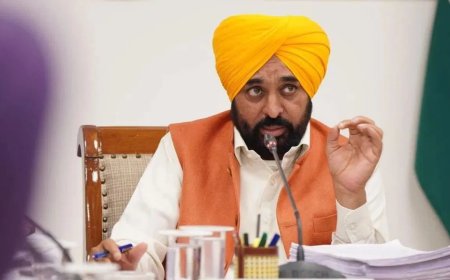 अदरक-लहसुन स्वाद तो बढ़ाते हैं, लेकिन खुद सब्जी नहीं... बीजेपी में गए सांसदों पर सीएम मान का तंज, सरेआम कर दी बोलती बंद