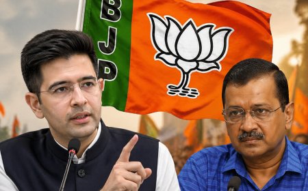 8 महीने की प्लानिंग और ऑपरेशन कमल सफल… जानें कैसे राज्यसभा में AAP को दी मात और BJP ने पलट दी पूरी बिसात