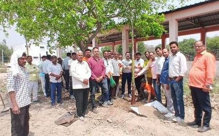संग्रामपुर में शिक्षकों और ग्रामीणों ने मिलकर किया वृक्षारोपण, हरित पर्यावरण का दिया संदेश