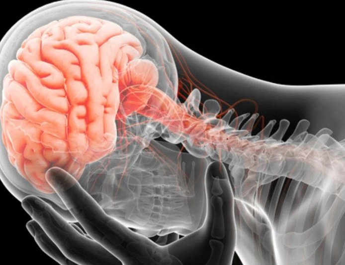 सर्वाइकल दर्द से सिर दर्द तक: क्या गर्दन की समस्या दिमाग को भी पहुंचाती है नुकसान?