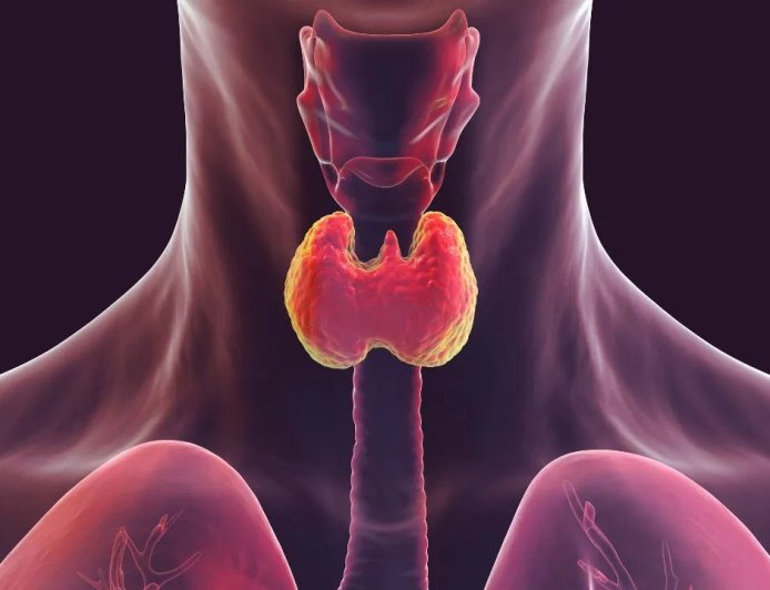 थाइराइड के बढ़ते मामलों ने बढ़ाई चिंता, सही डाइट और लाइफस्टाइल से मिल सकता है कंट्रोल