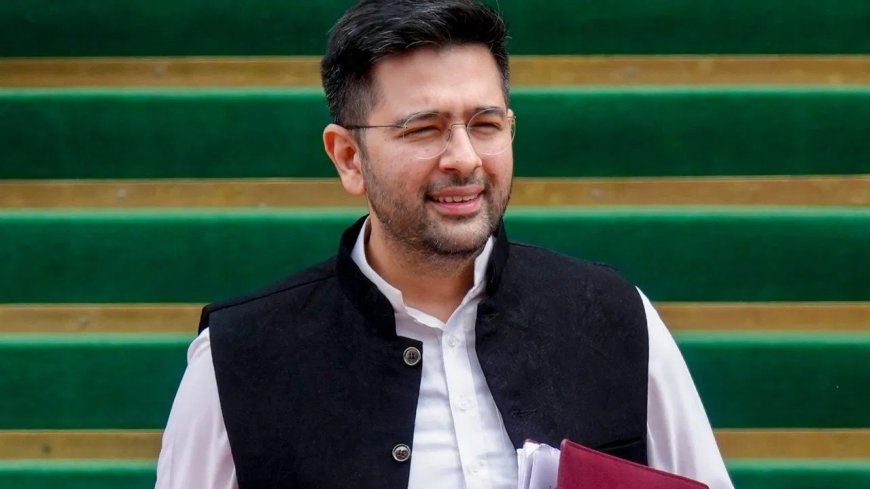 खामोश करवाया गया हूं, हारा नहीं… पद से हटते ही राघव चड्ढा का बड़ा बयान, AAP में मचा सियासी तूफान