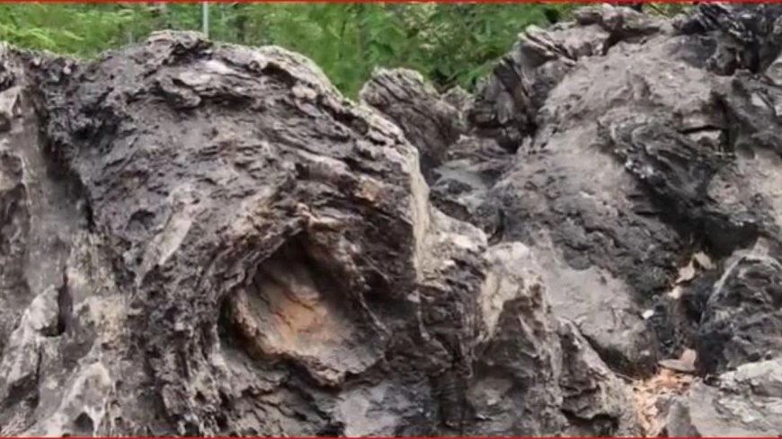 UP का ये अनोखा स्थान बनेगा ग्लोबल टूरिस्ट हॉटस्पॉट… यहां पत्थरों में छुपा 160 करोड़ साल पुराना रहस्य, 40 देशों के वैज्ञानिक भी हैरान