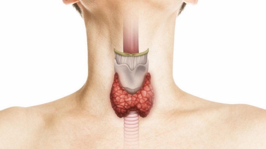 लखनऊ के SGPGI में रोबोटिक एंडोक्राइन सर्जरी की बड़ी उपलब्धि, 200 सफल ऑपरेशन पूरे