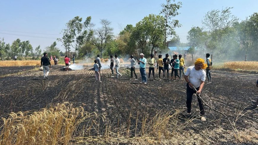अमेठी में शॉर्ट सर्किट से लगी भीषण आग, कई किसानों की गेहूं की फसल जलकर राख