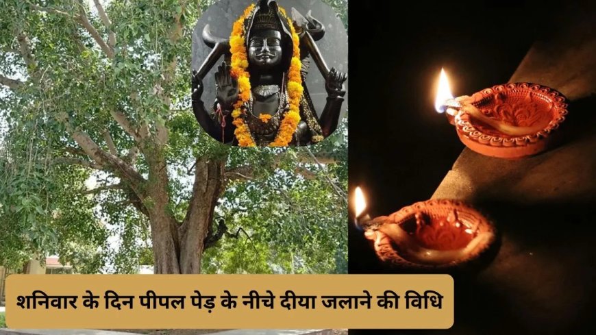 शनिवार के ये खास उपाय बदल सकते हैं आपकी किस्मत, शनि दोष से मिलेगी राहत