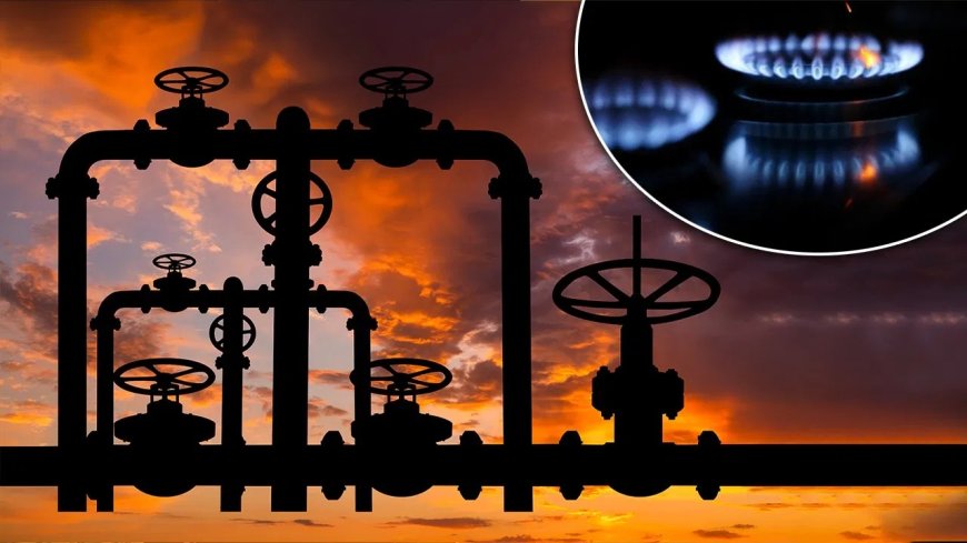 दिल्ली-NCR में PNG कनेक्शन का तेजी से विस्तार, LPG पर निर्भरता घटाने की तैयारी