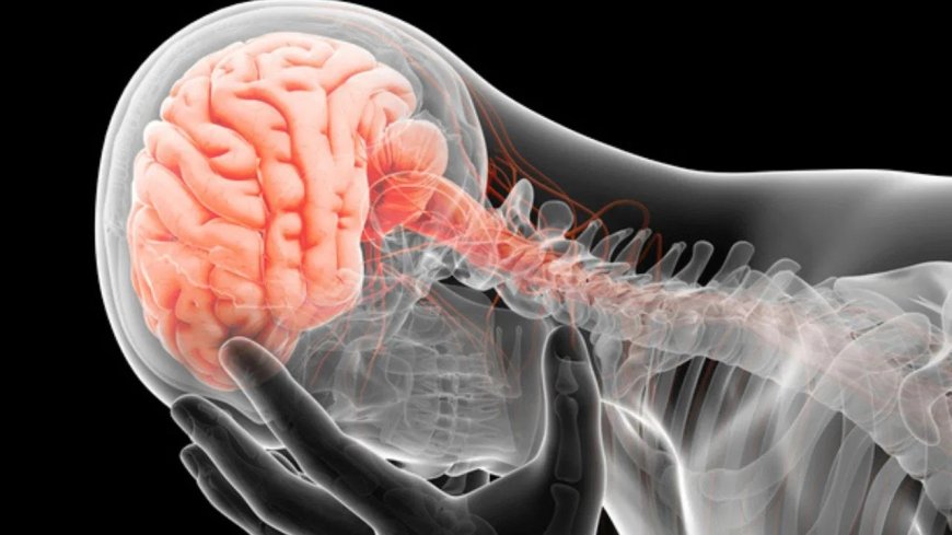 सर्वाइकल दर्द से सिर दर्द तक: क्या गर्दन की समस्या दिमाग को भी पहुंचाती है नुकसान?