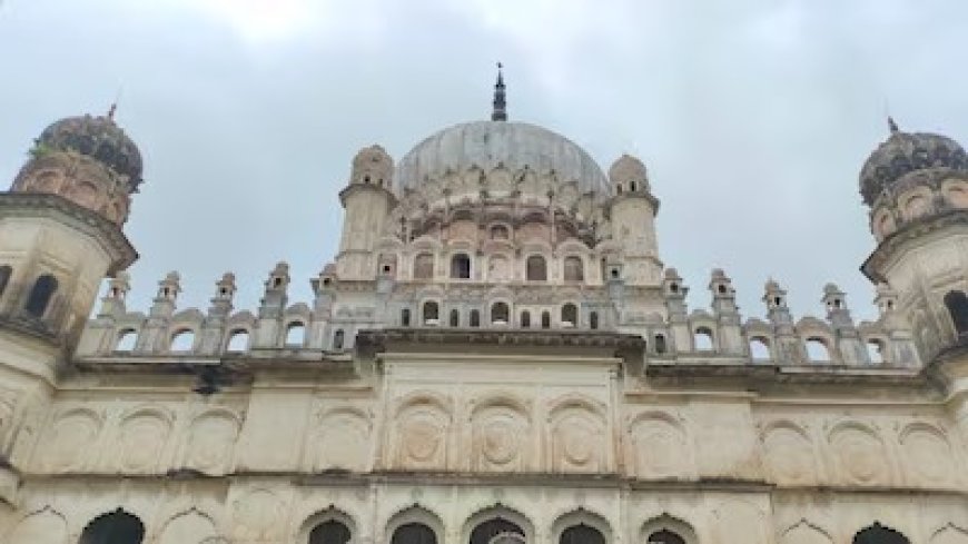 अयोध्या में दिखा ऑस्ट्रेलिया का अनोखा ‘इमू’, बहू बेगम मकबरे में बना आकर्षण का केंद्र