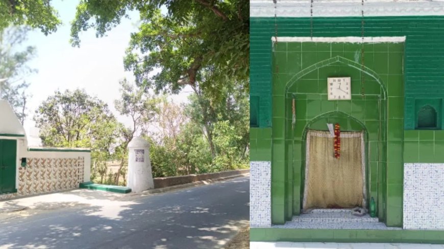 तोते ने ली खूनी गवाही… बादशाह को बताया हर कातिल का नाम, जानिए तोता-मैना मजार का वो अनसुना राज