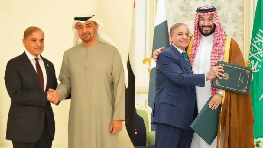 पाकिस्तान ने उधार लेकर चुकाया कर्ज… सऊदी के पैसों से UAE को किया खुश, शाहबाज शरीफ ने दुनिया को दिया प्रतिष्ठा का ज्ञान