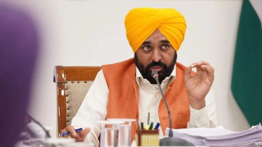 अदरक-लहसुन स्वाद तो बढ़ाते हैं, लेकिन खुद सब्जी नहीं... बीजेपी में गए सांसदों पर सीएम मान का तंज, सरेआम कर दी बोलती बंद