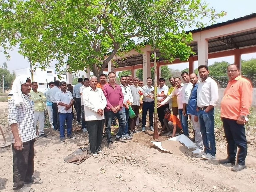 संग्रामपुर में शिक्षकों और ग्रामीणों ने मिलकर किया वृक्षारोपण, हरित पर्यावरण का दिया संदेश